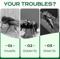 Multi-Scene Fast-Acting Fly Killer (Pack of 2)